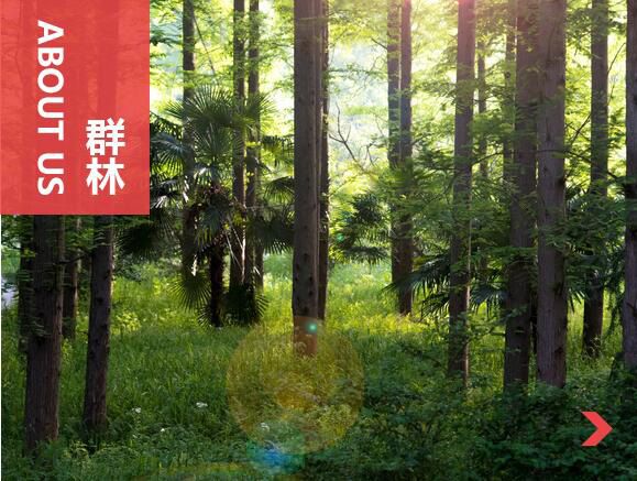 什么叫刨花板？